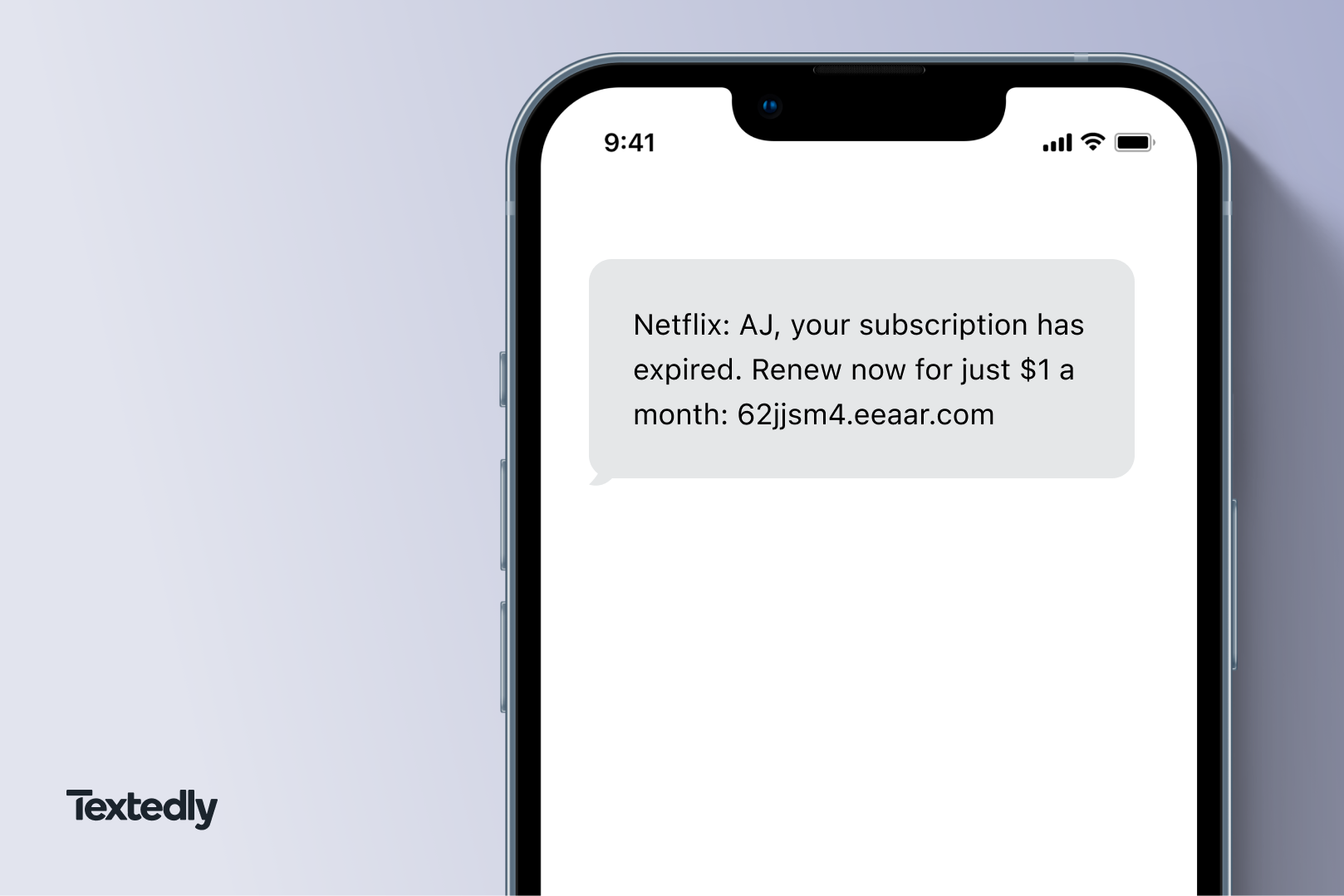 A spam text from Netflix about your account.