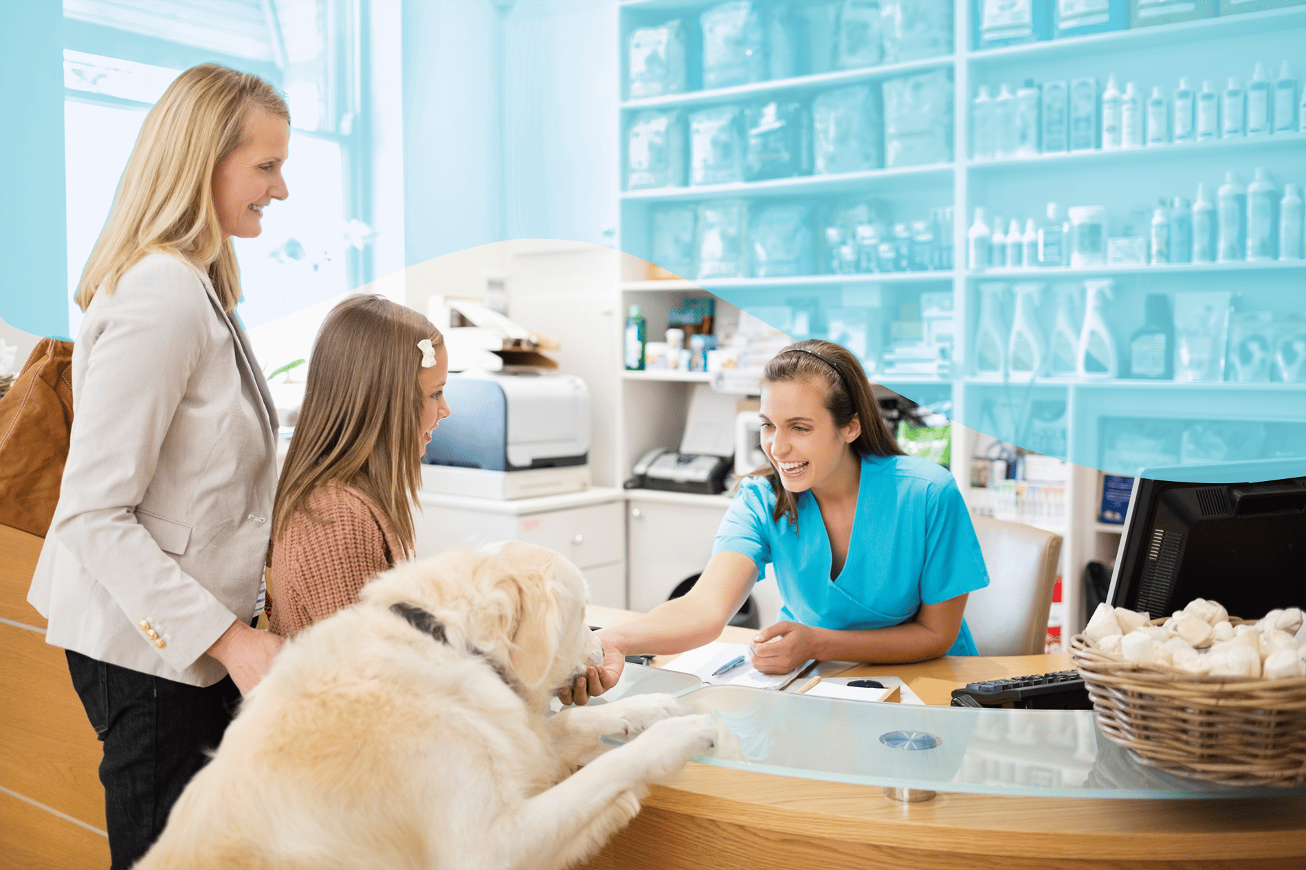 Veterinary Confidentiality Laws: Does HIPAA Apply to Animals?
